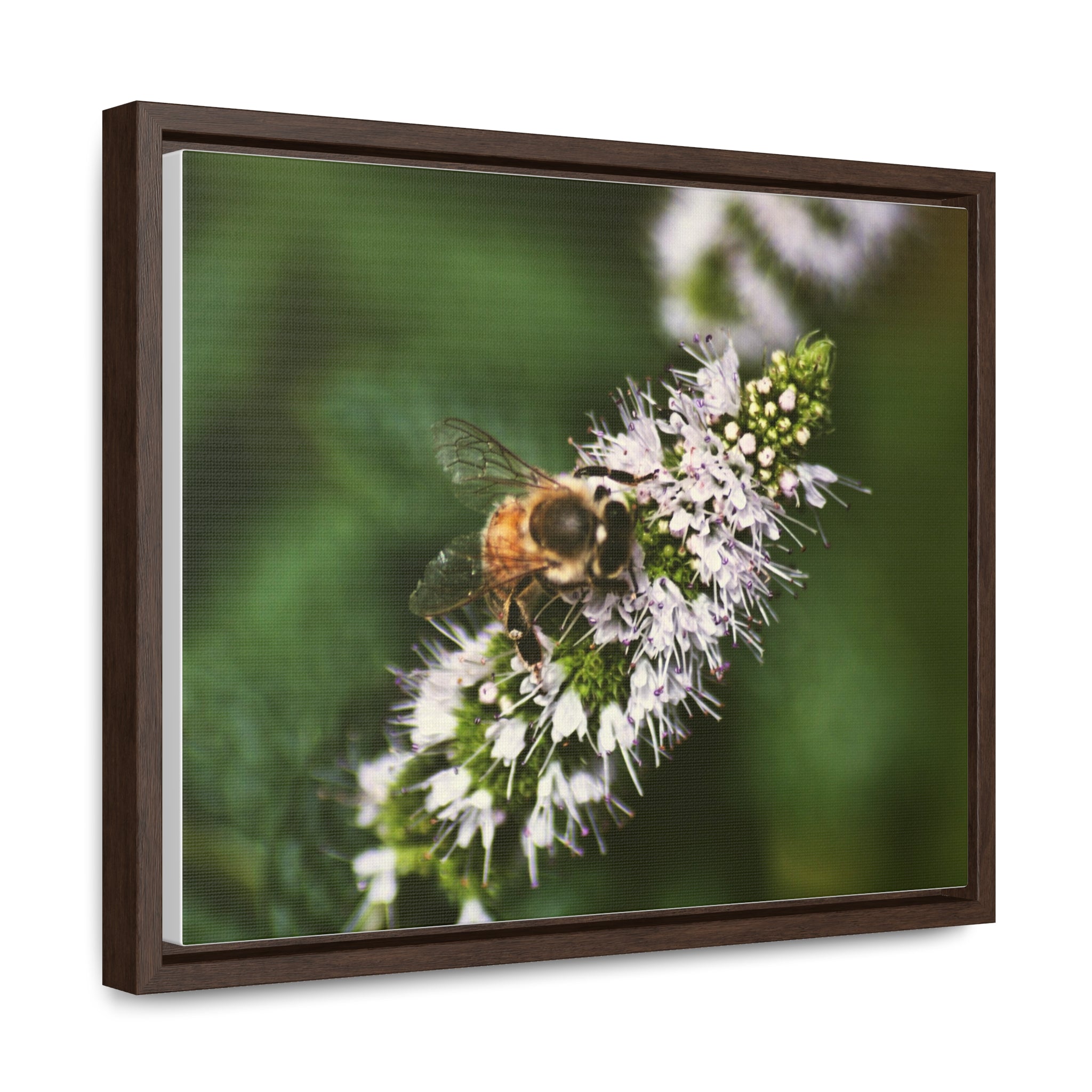Honeybee on Mint - Gallery Canvas Wraps, Horizontal Frame