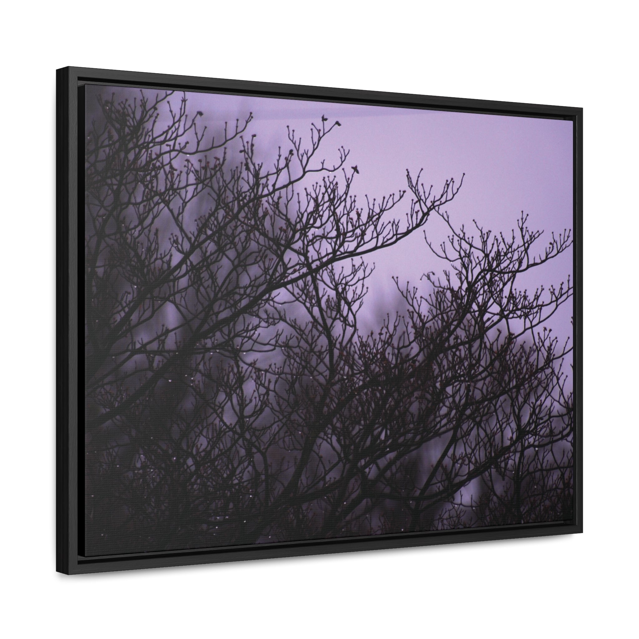 Branches -- Gallery Canvas Wraps, Horizontal Frame