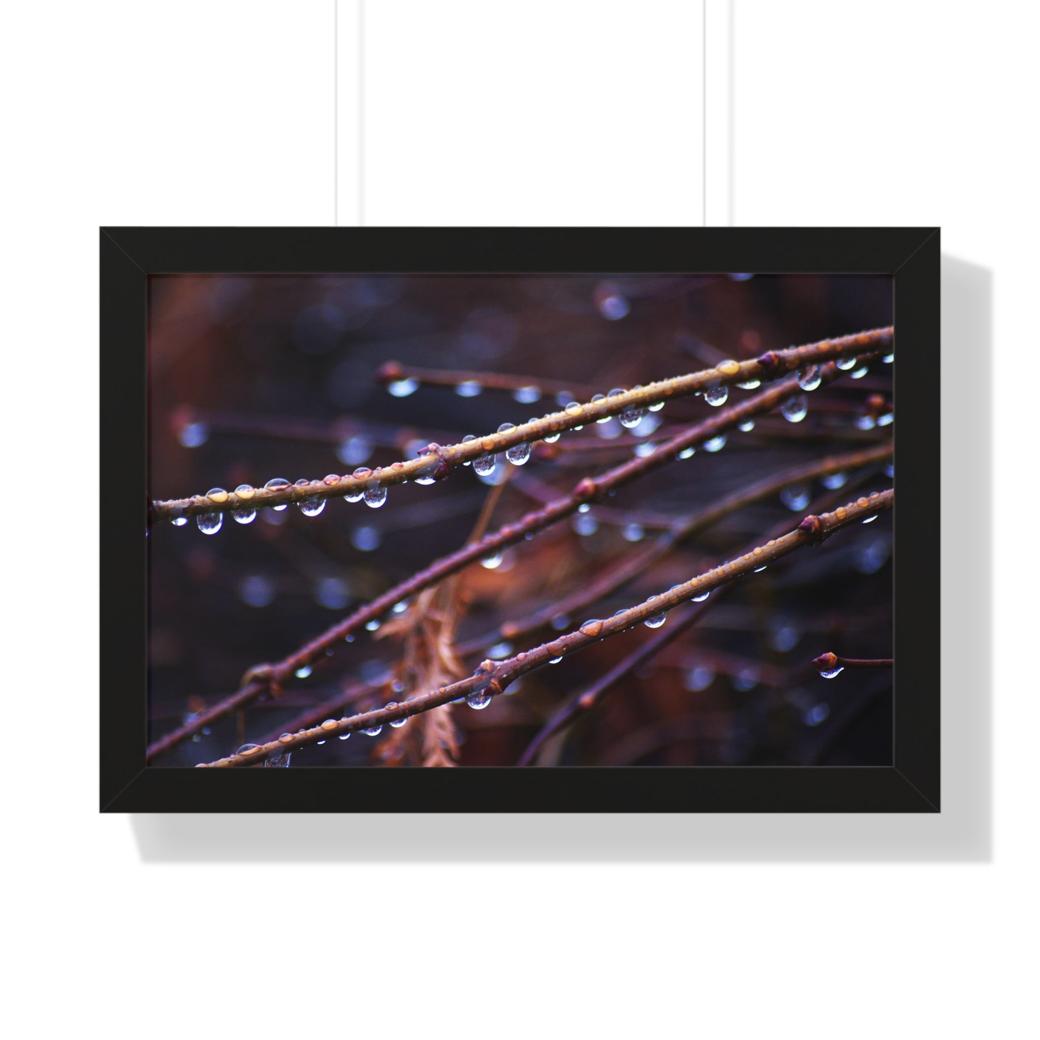 Raindrops - Framed Horizontal Poster