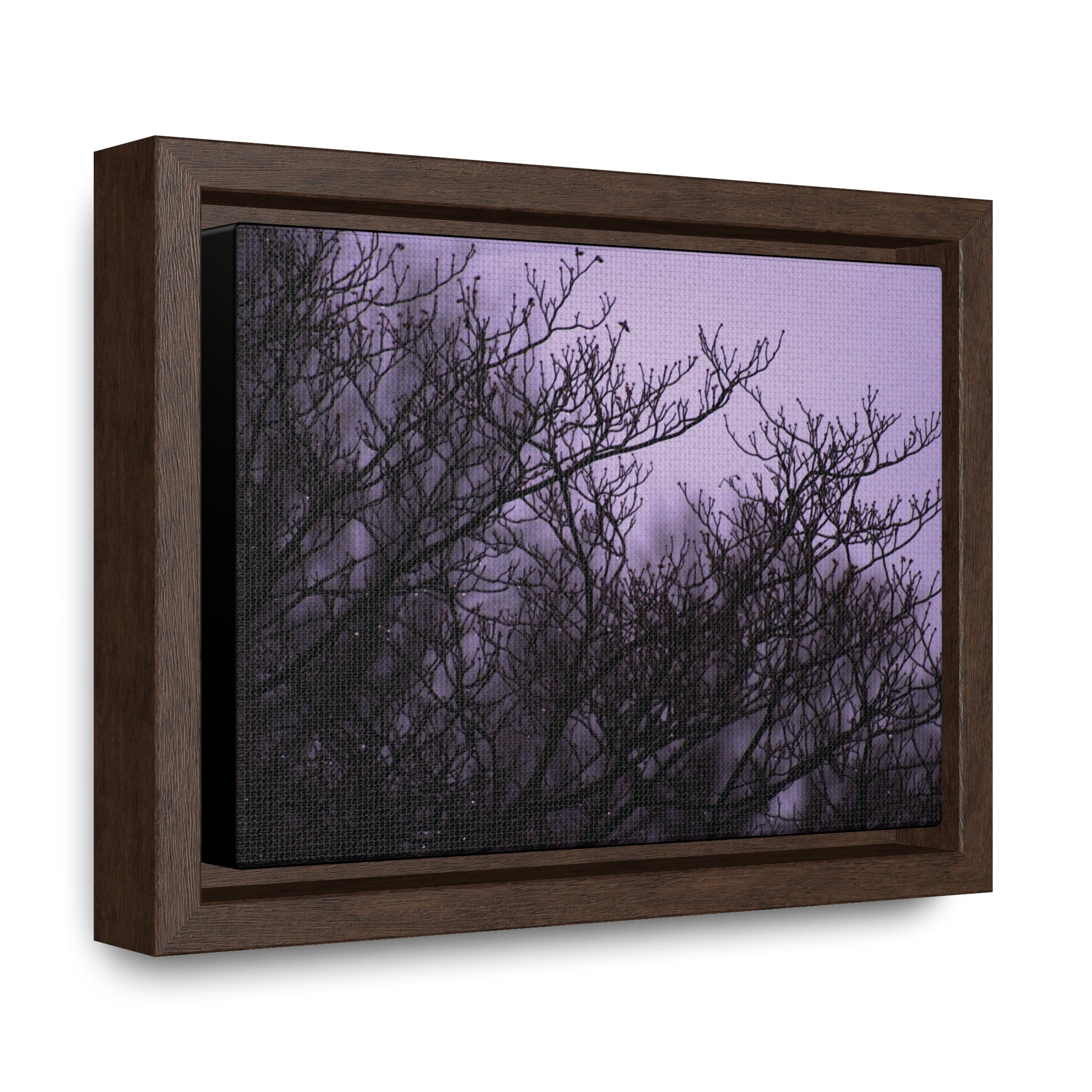 Branches -- Gallery Canvas Wraps, Horizontal Frame