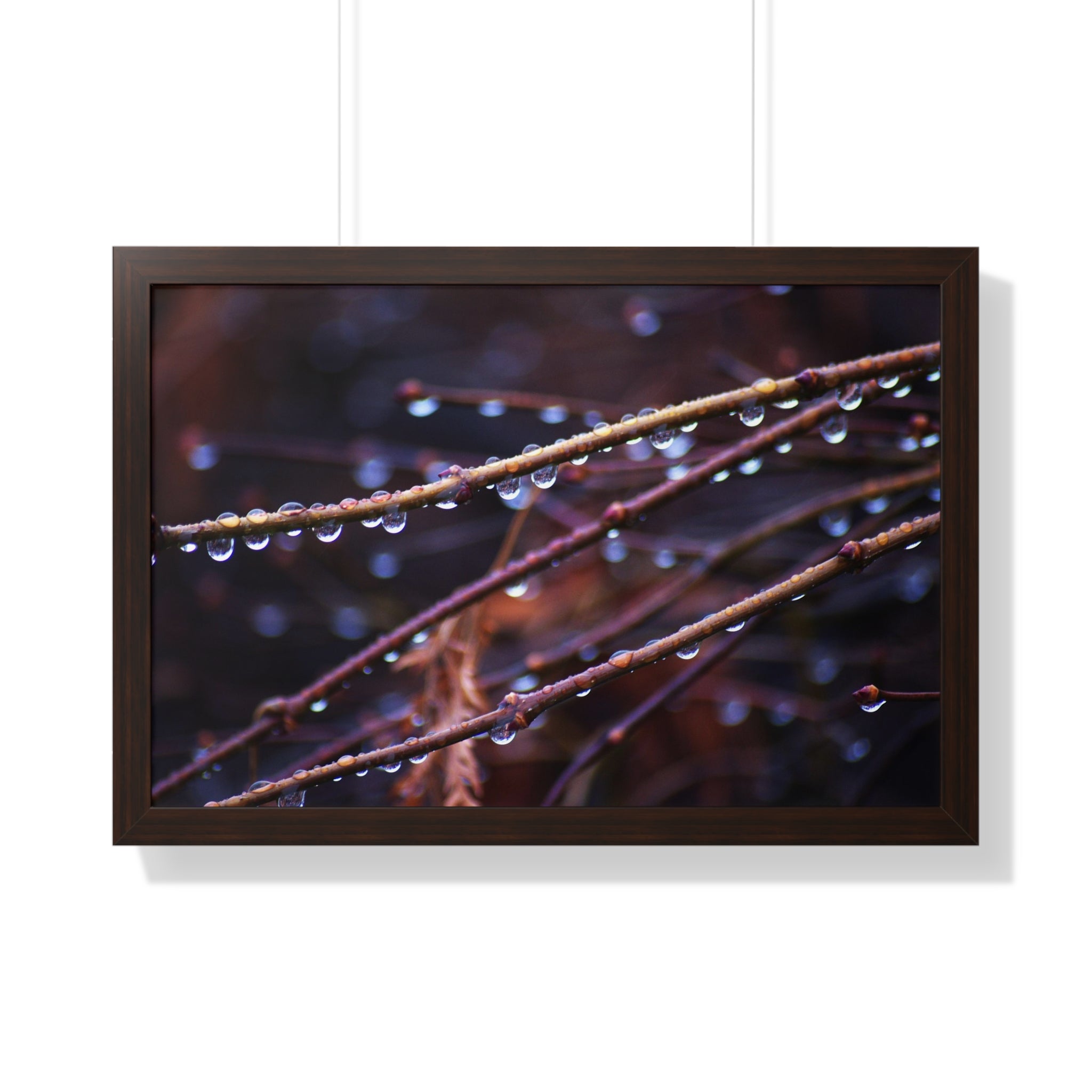Raindrops - Framed Horizontal Poster