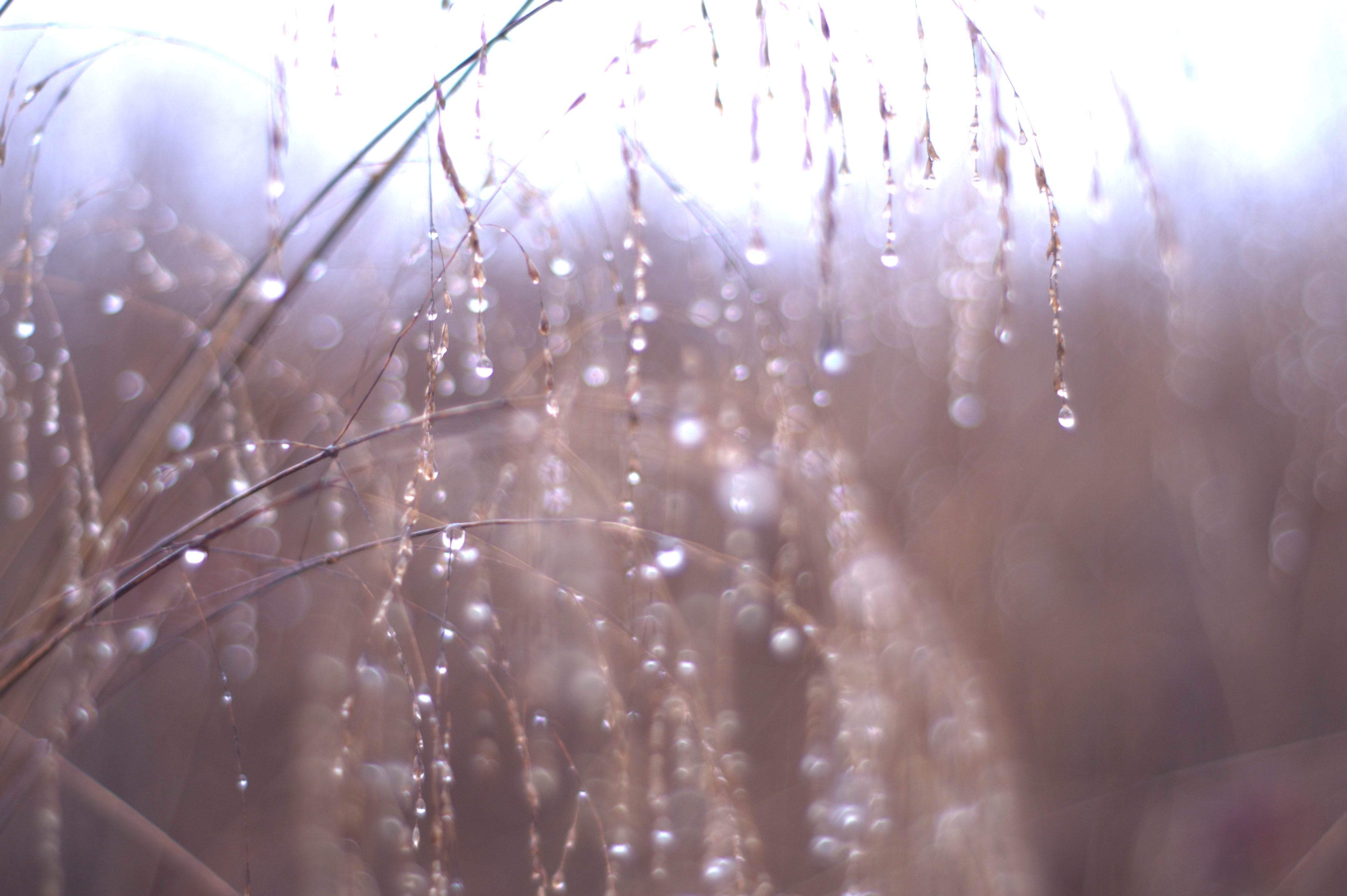 About The Care and Feeding of These Hallucinations