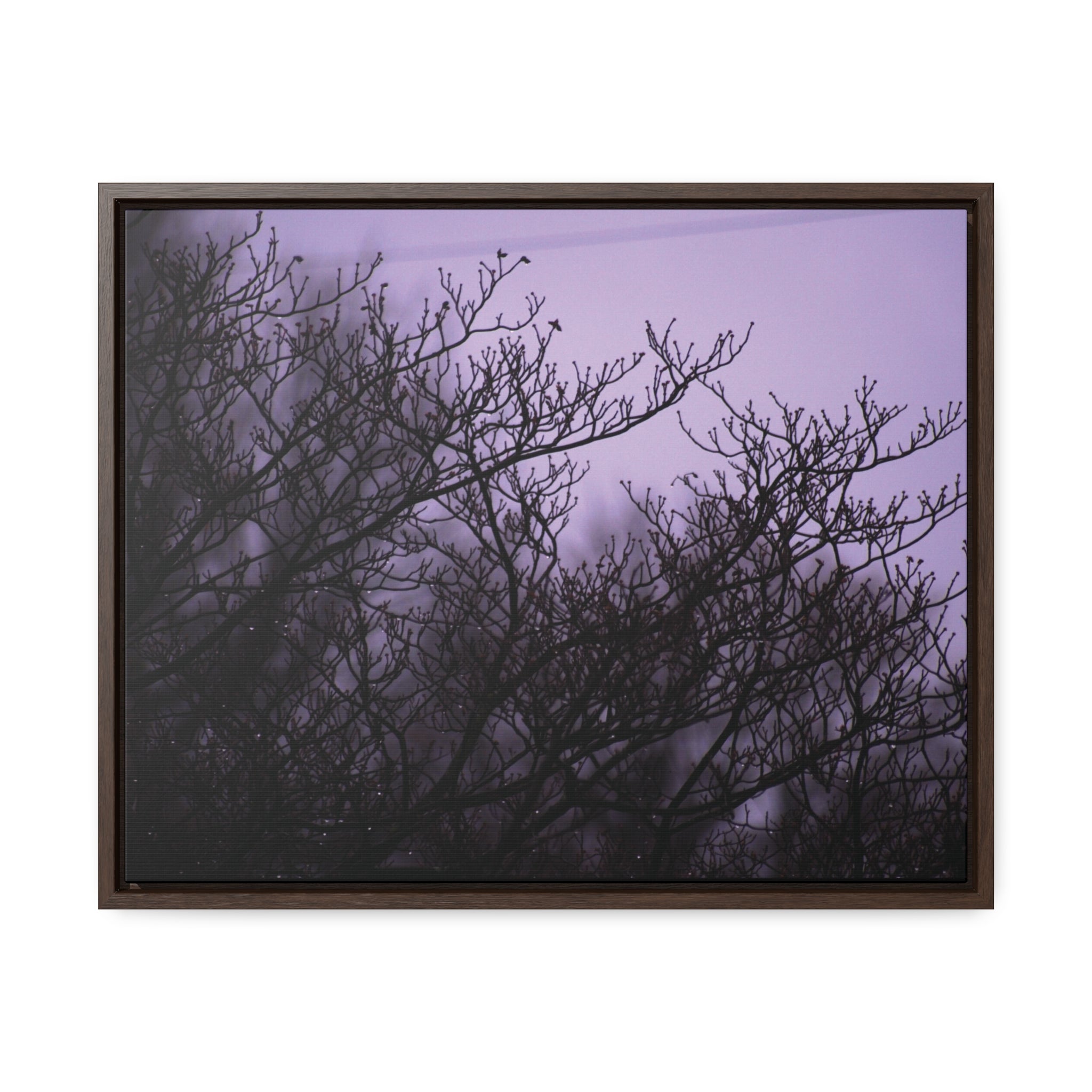 Branches -- Gallery Canvas Wraps, Horizontal Frame