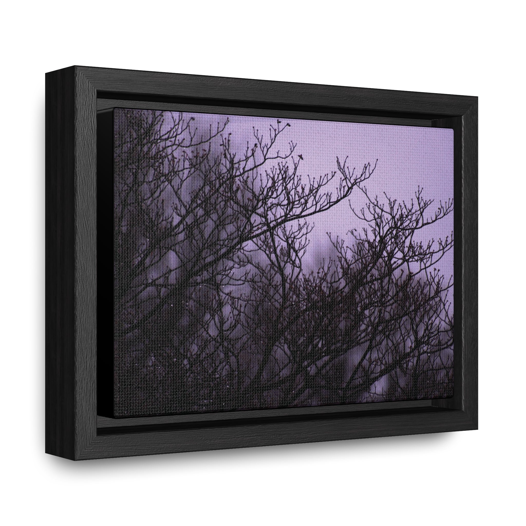 Branches -- Gallery Canvas Wraps, Horizontal Frame