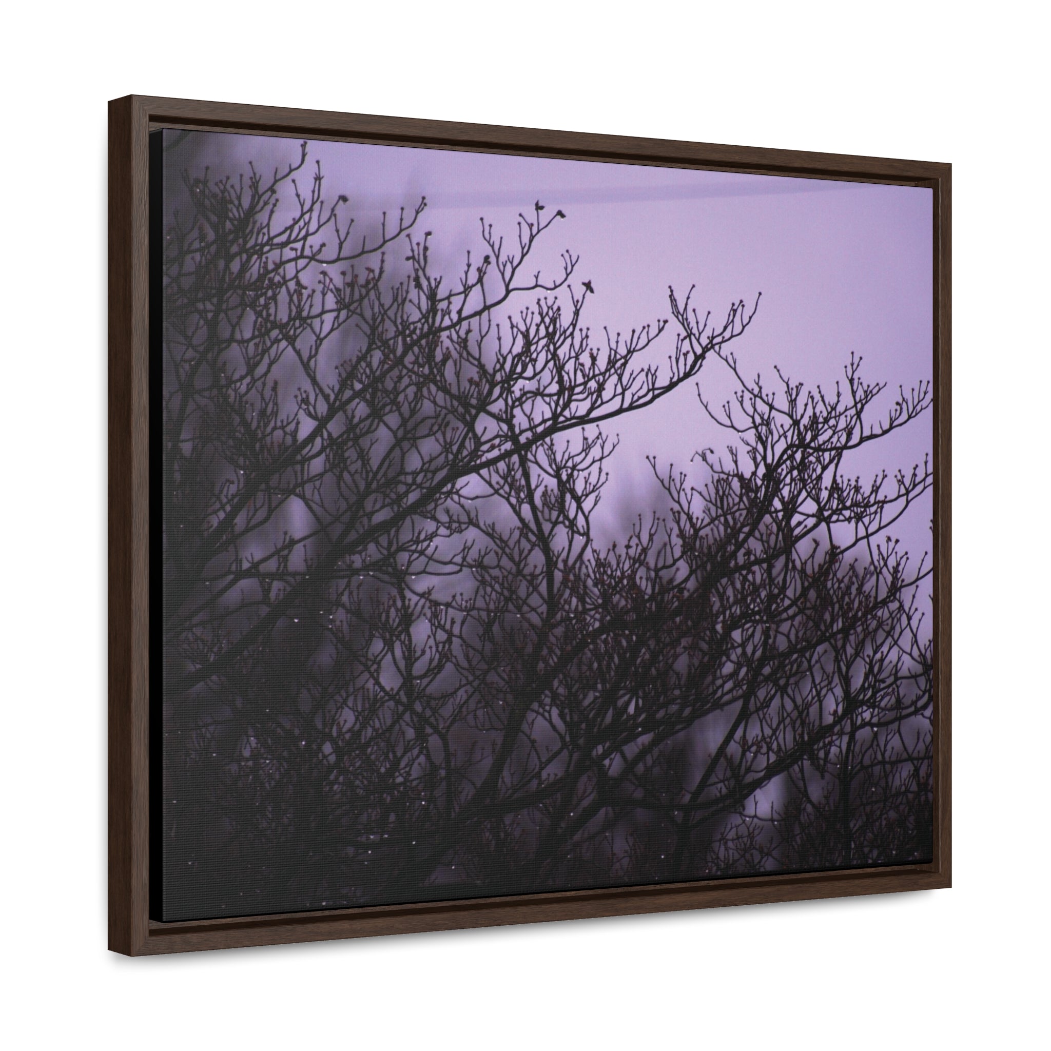 Branches -- Gallery Canvas Wraps, Horizontal Frame