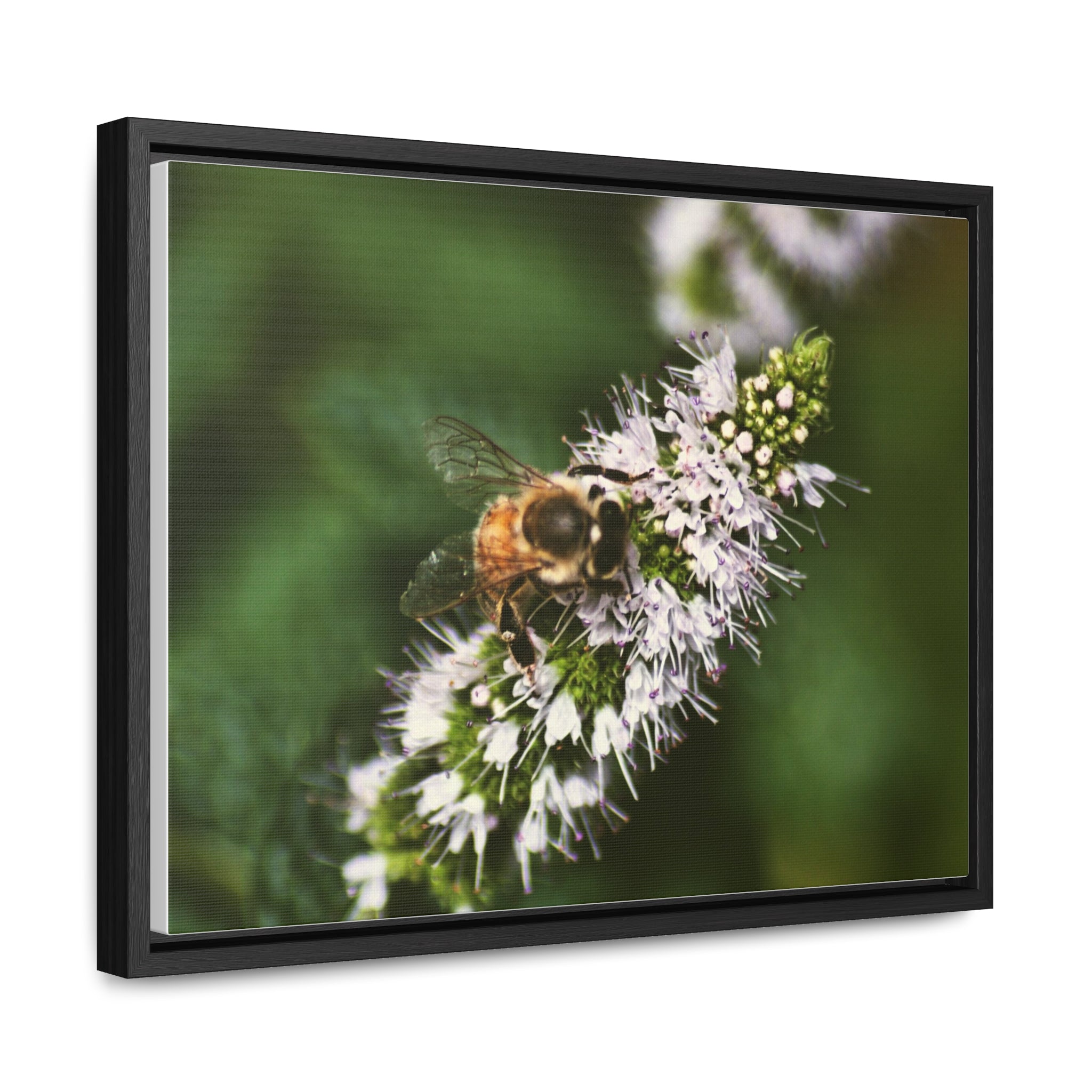 Honeybee on Mint - Gallery Canvas Wraps, Horizontal Frame