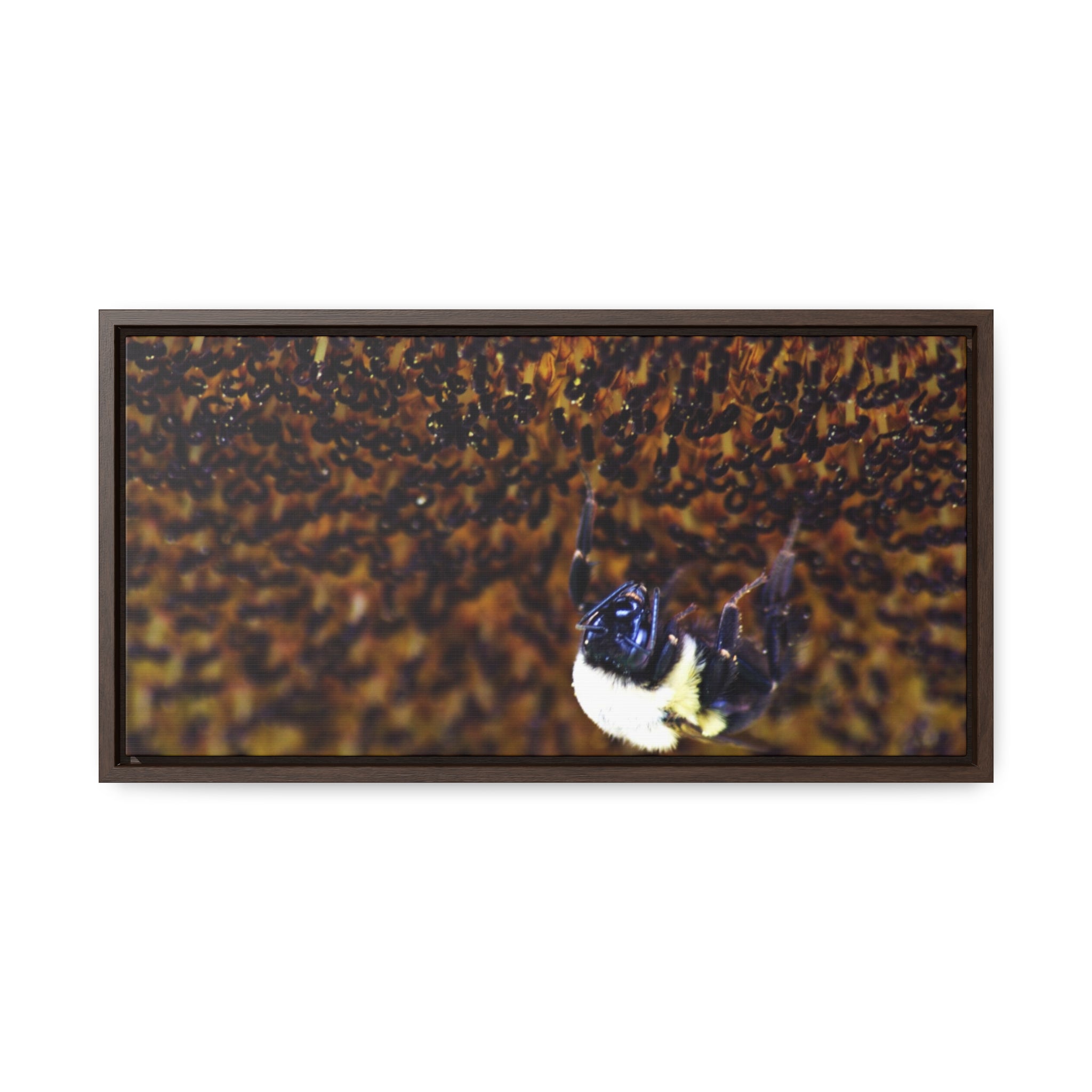 Bumblebee on Sunflower -- Gallery Canvas Wraps, Horizontal Frame