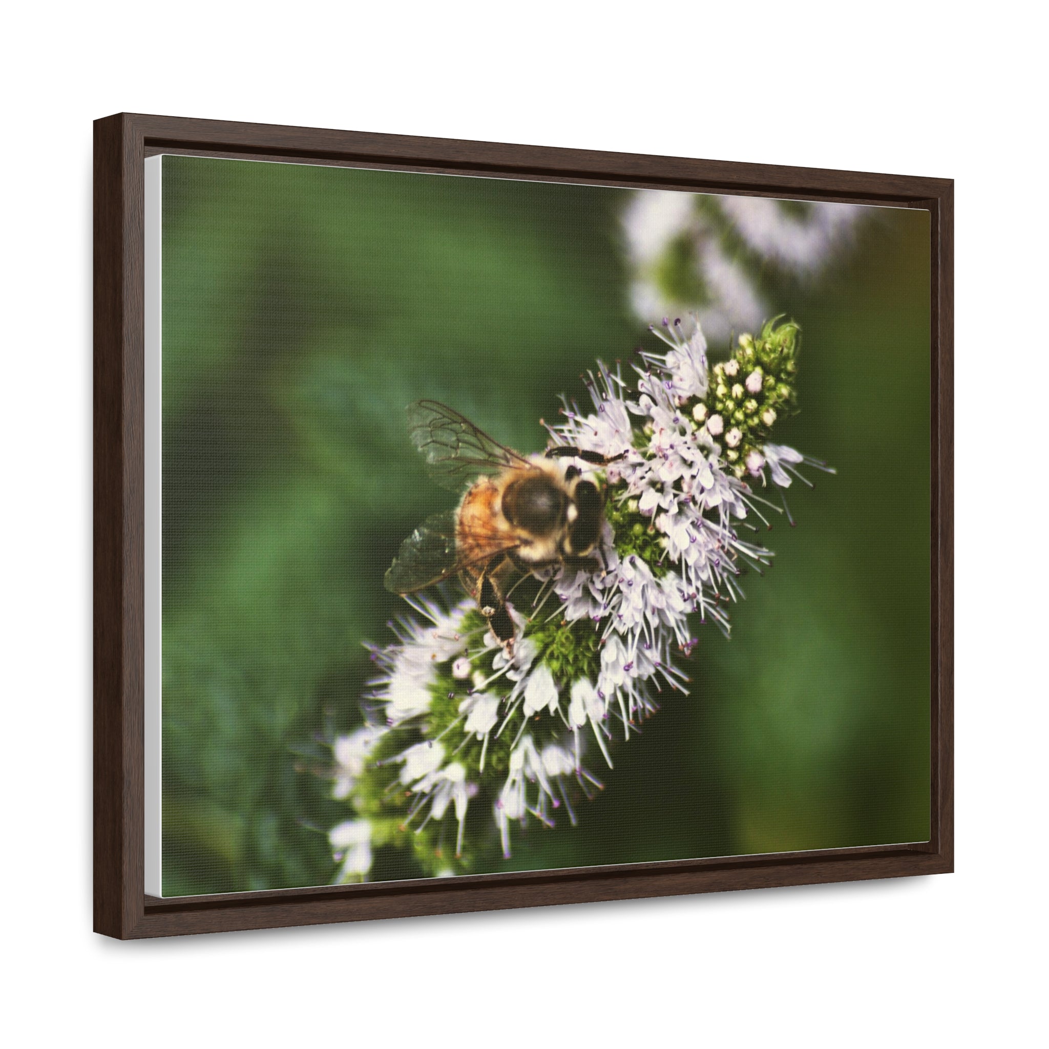 Honeybee on Mint - Gallery Canvas Wraps, Horizontal Frame