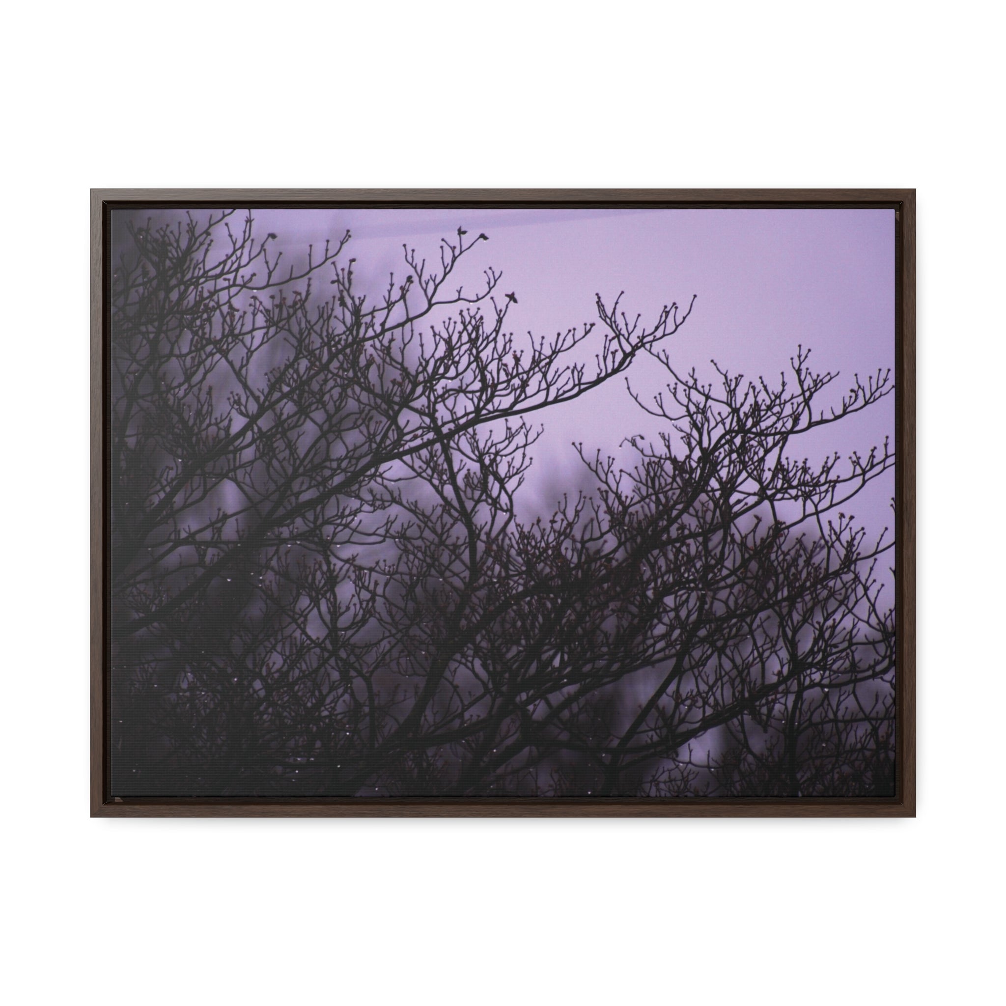 Branches -- Gallery Canvas Wraps, Horizontal Frame