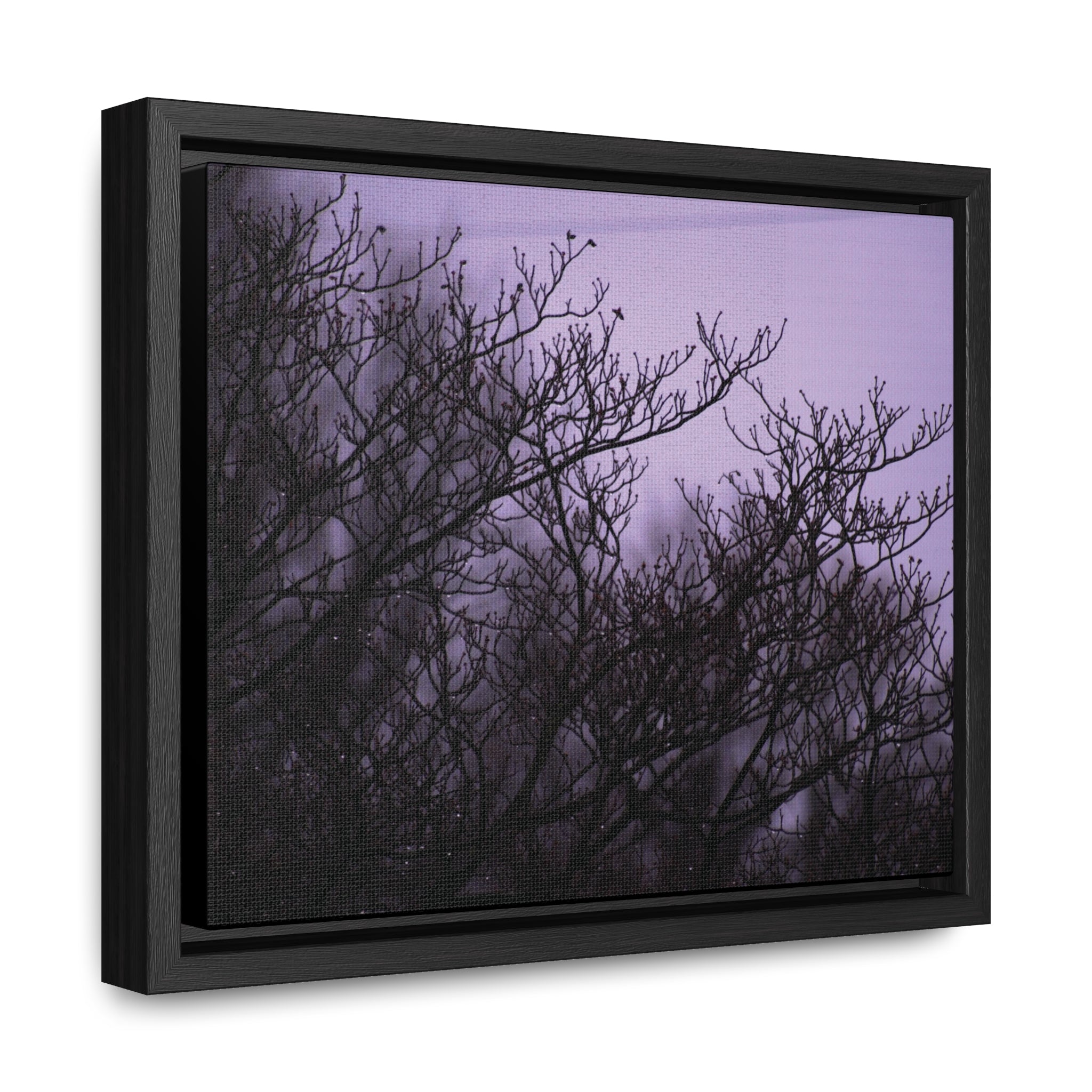 Branches -- Gallery Canvas Wraps, Horizontal Frame