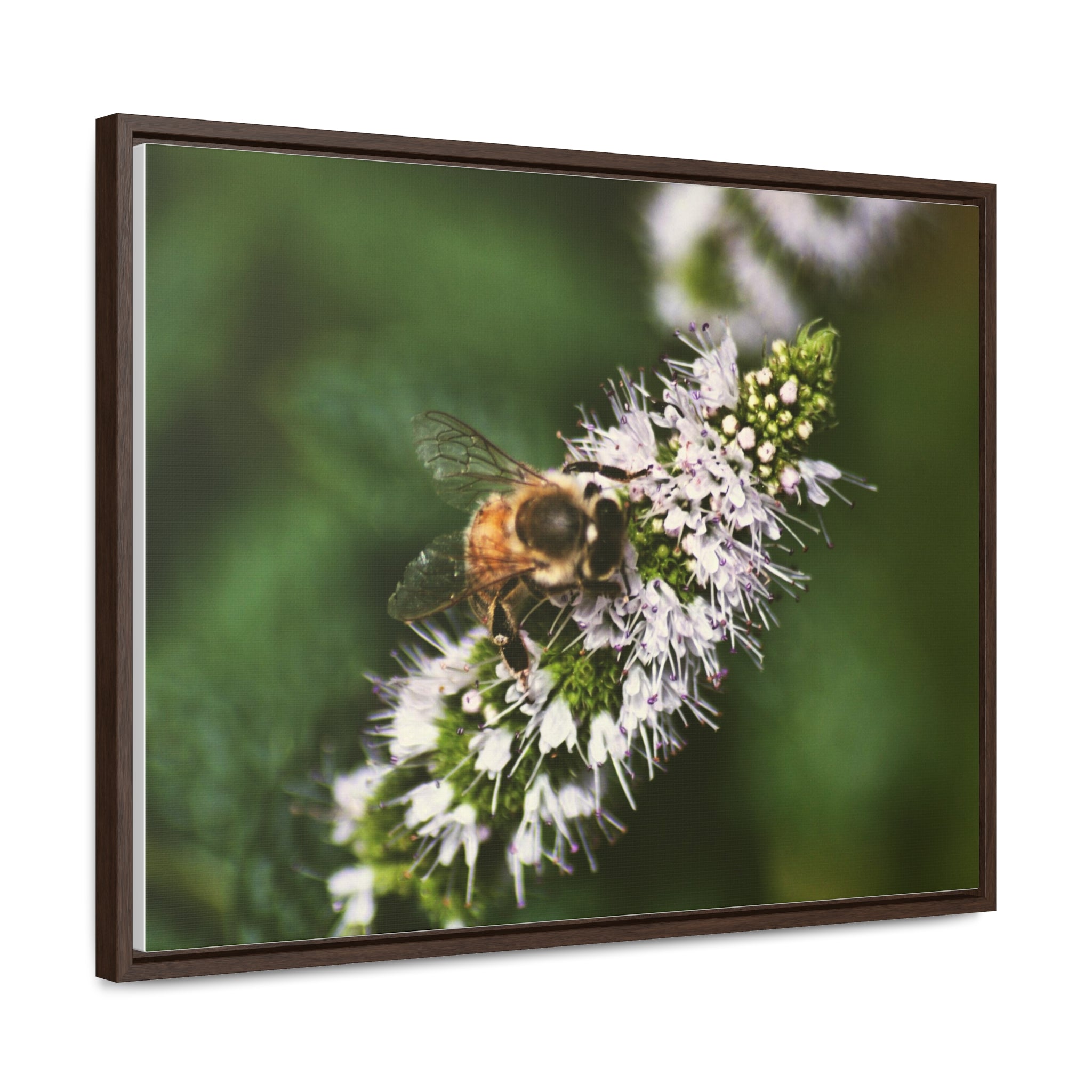 Honeybee on Mint - Gallery Canvas Wraps, Horizontal Frame