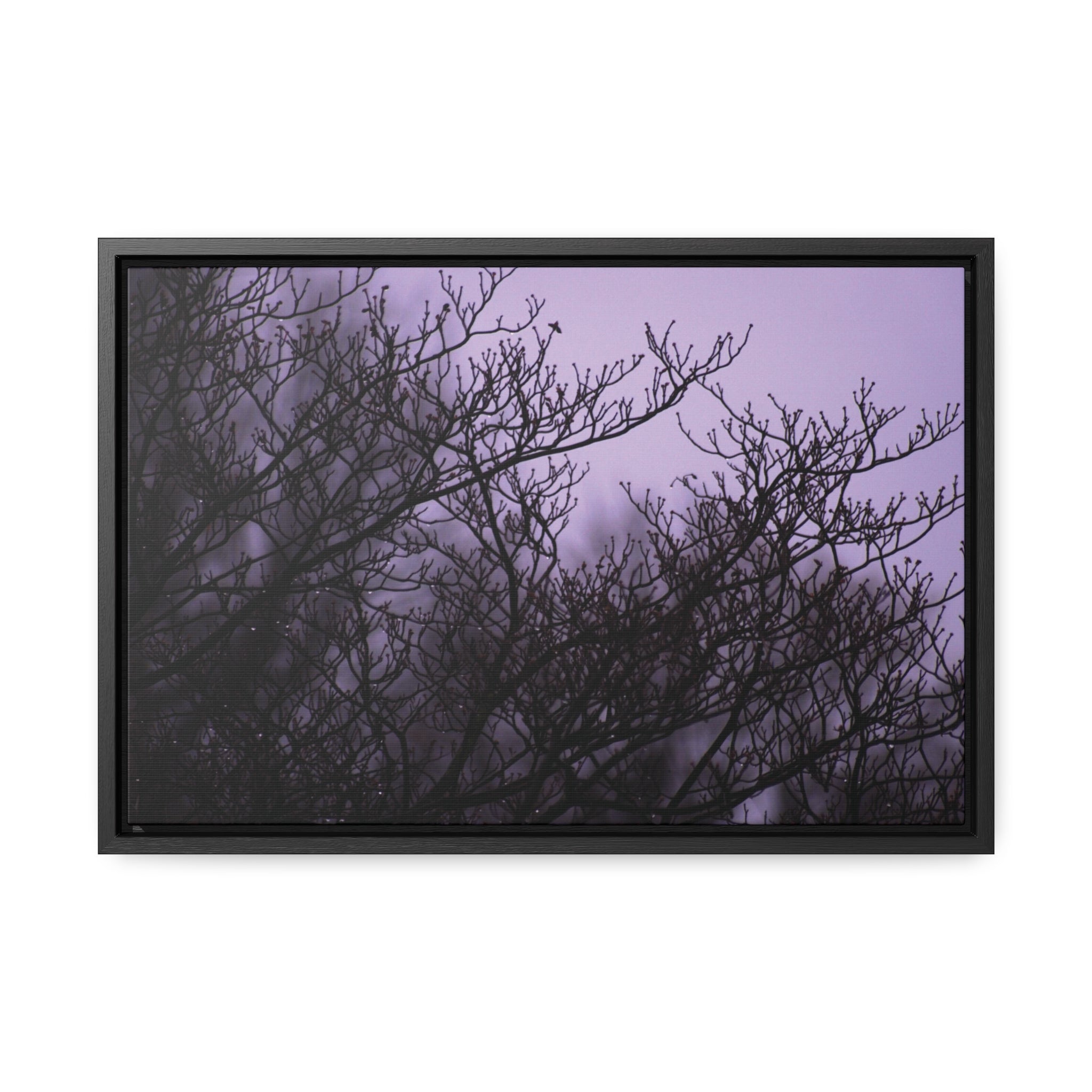 Branches -- Gallery Canvas Wraps, Horizontal Frame