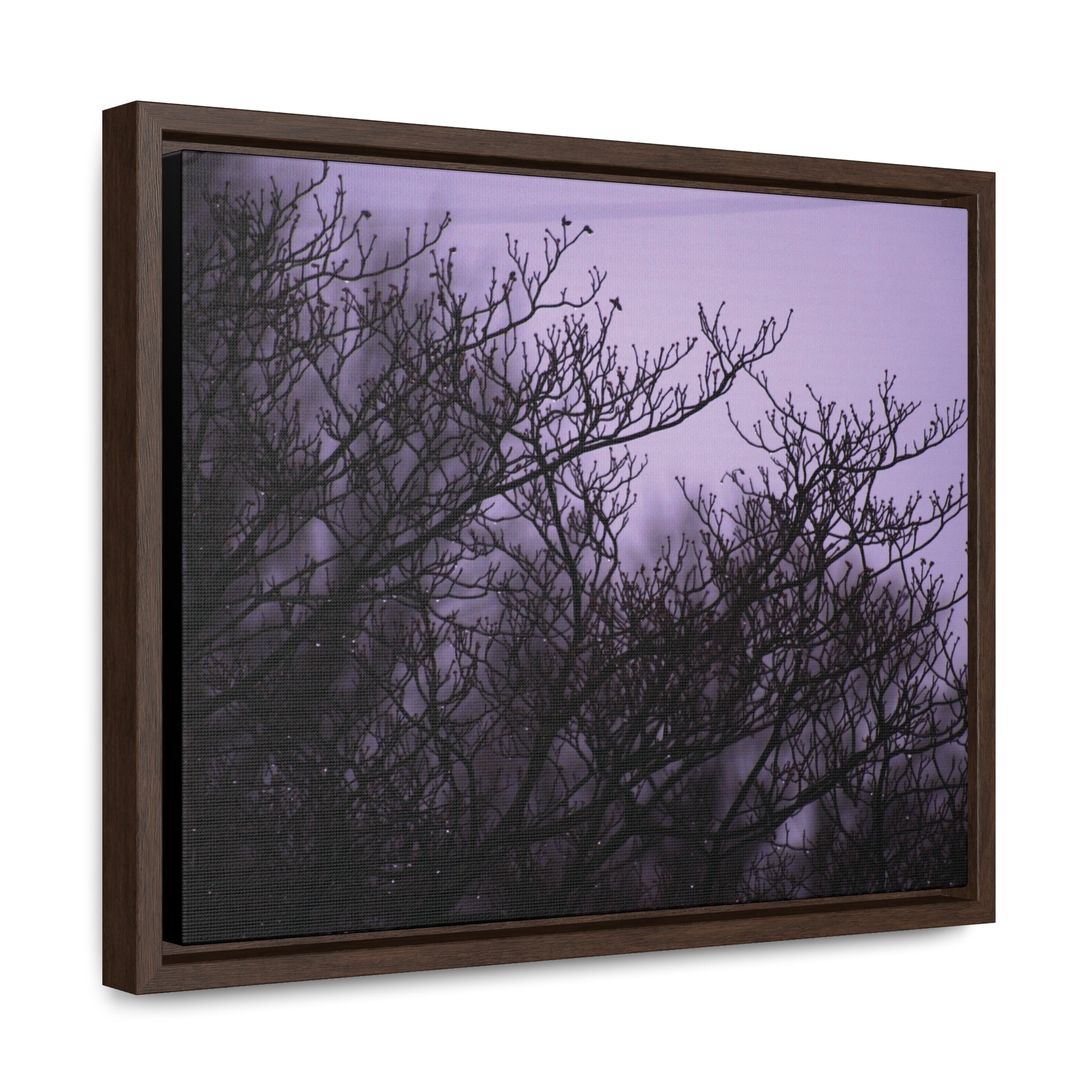 Branches -- Gallery Canvas Wraps, Horizontal Frame