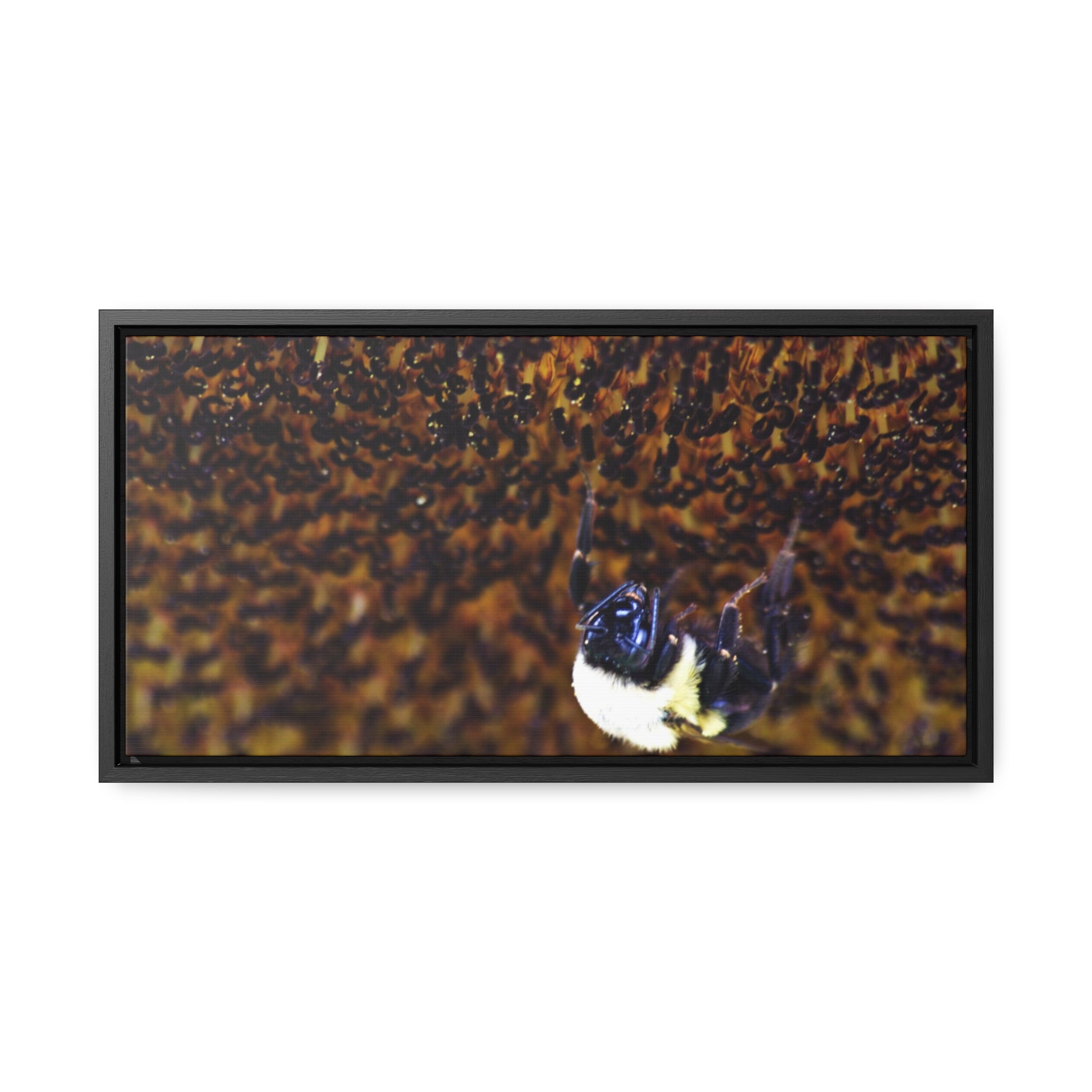 Bumblebee on Sunflower -- Gallery Canvas Wraps, Horizontal Frame
