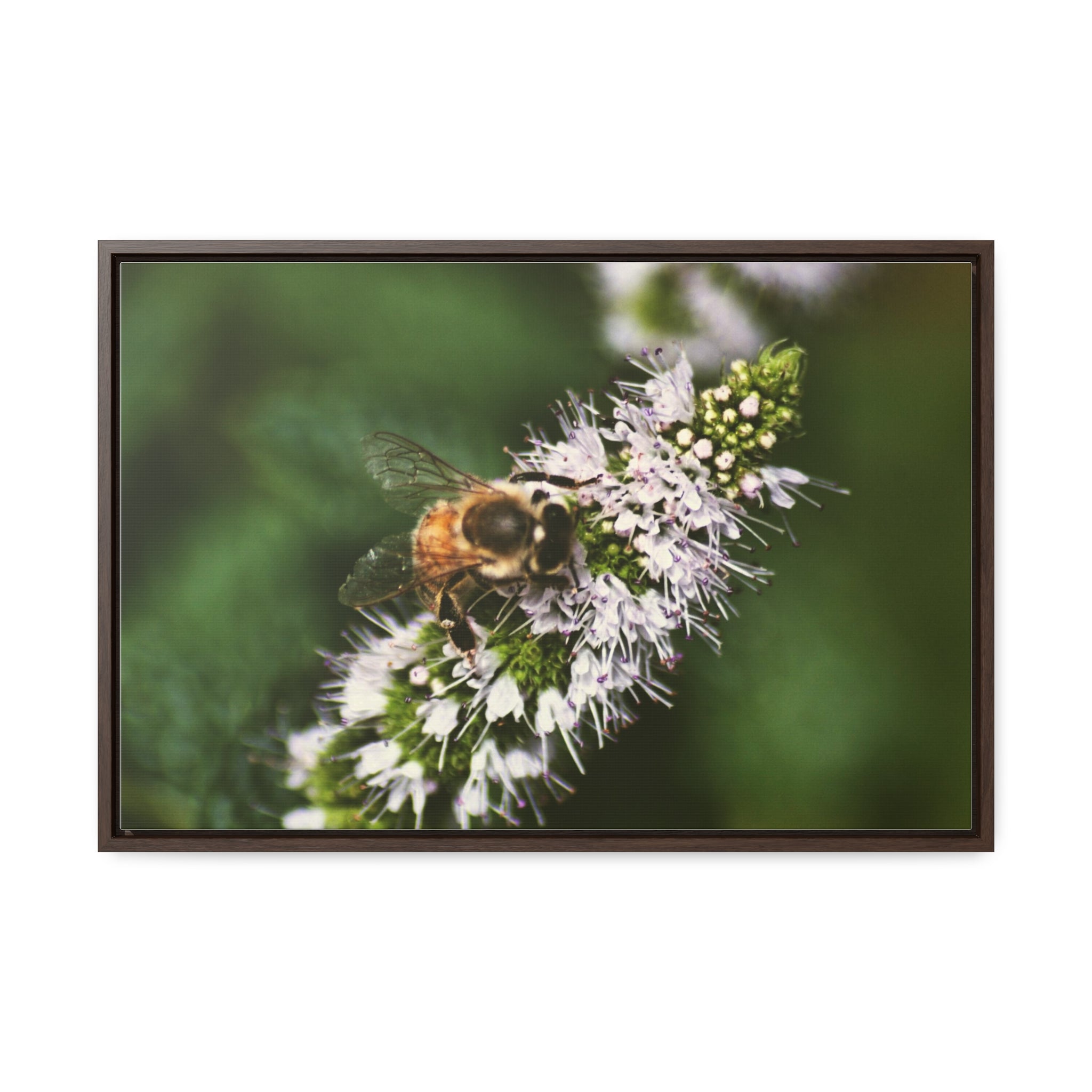 Honeybee on Mint - Gallery Canvas Wraps, Horizontal Frame