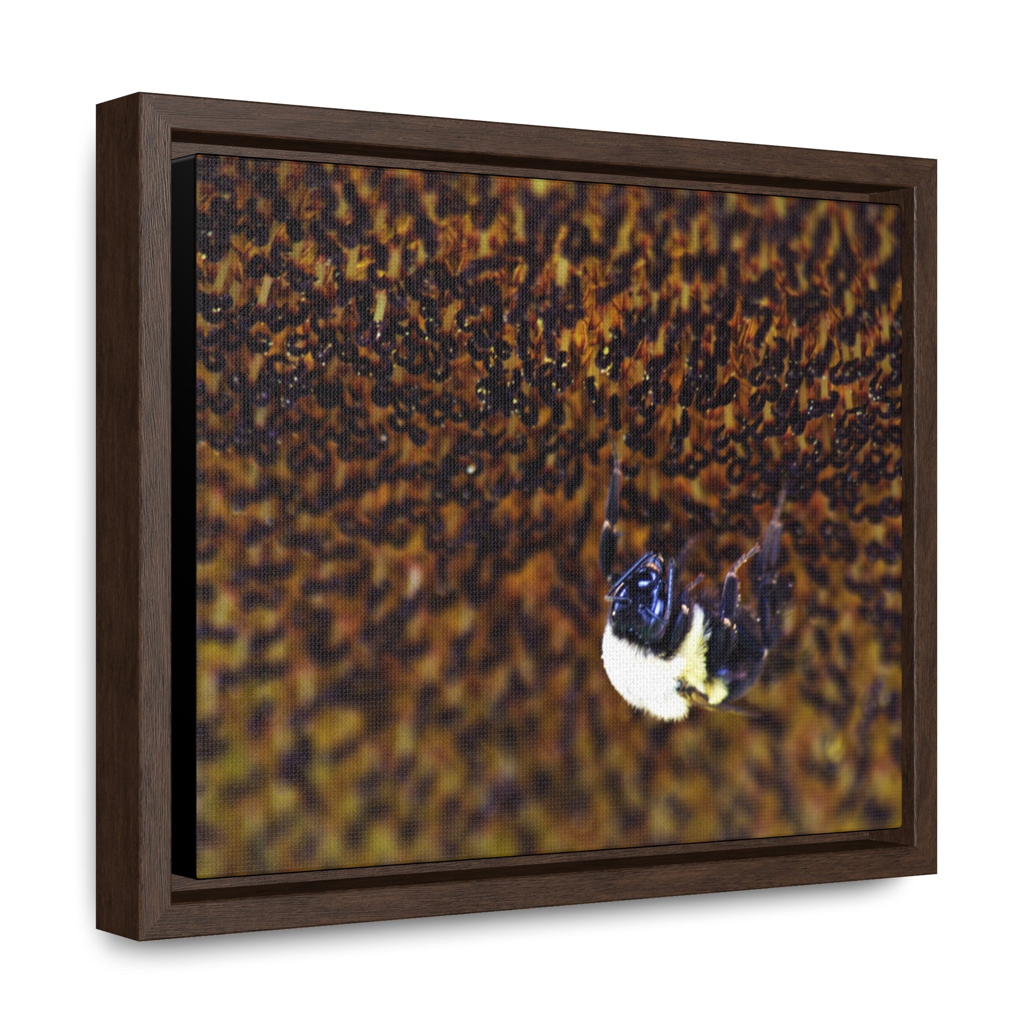 Bumblebee on Sunflower -- Gallery Canvas Wraps, Horizontal Frame