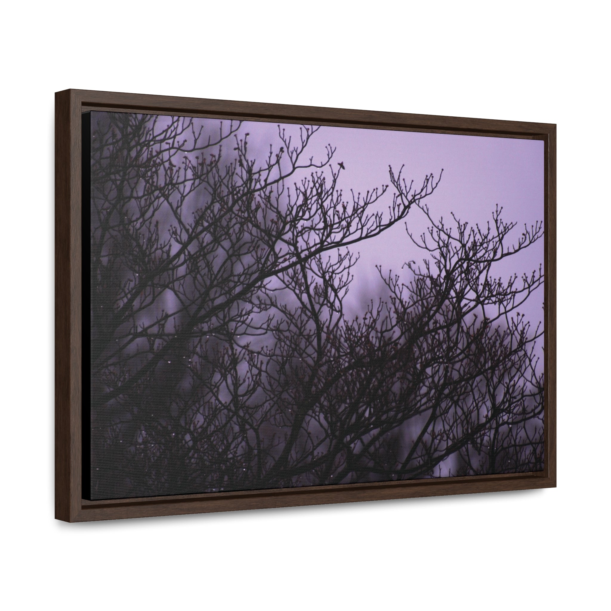 Branches -- Gallery Canvas Wraps, Horizontal Frame