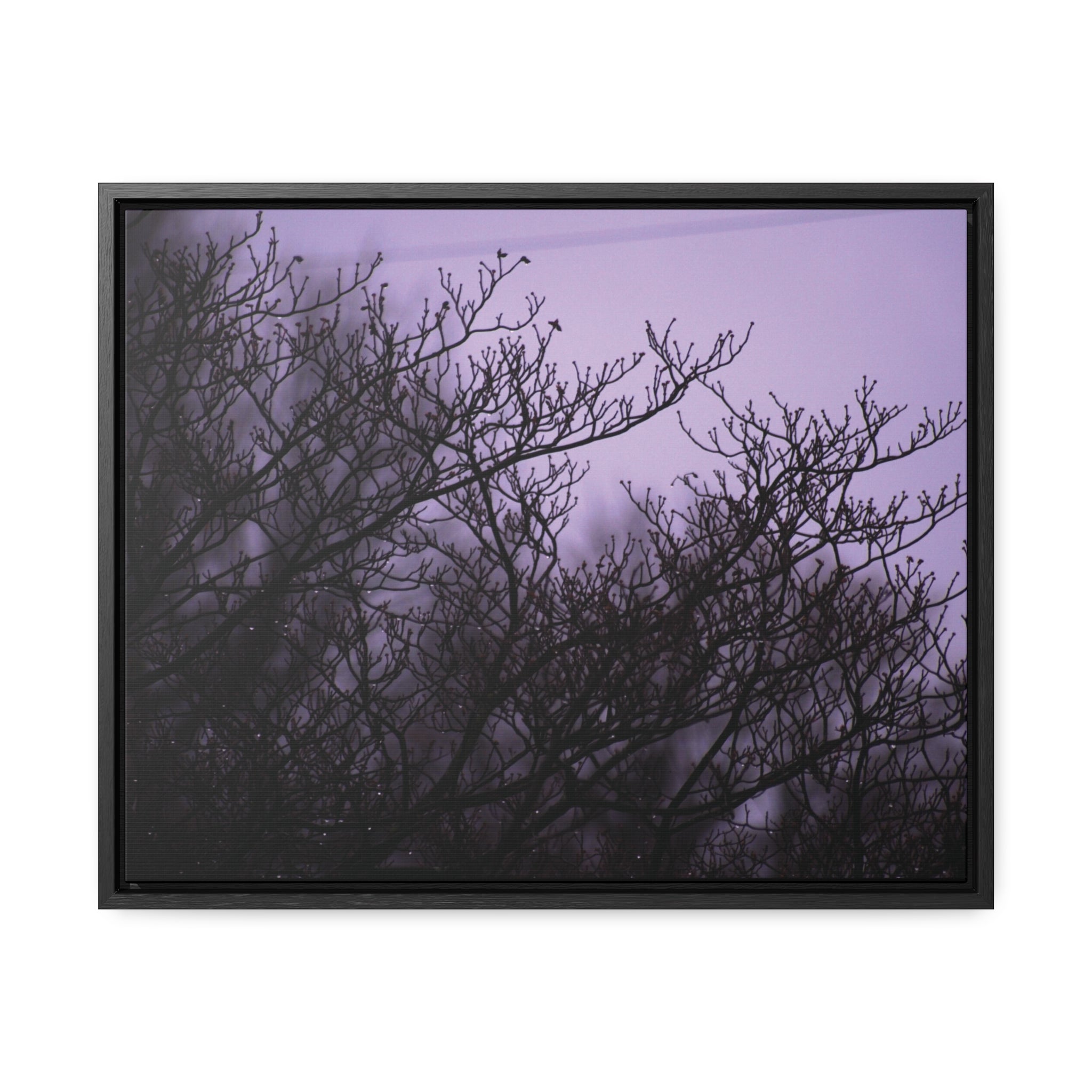 Branches -- Gallery Canvas Wraps, Horizontal Frame